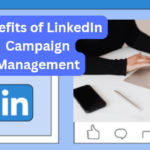 LinkedIn Campaign Management and its 15 Benefits (VIDEO)