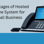 8 Advantages of Hosted Phone System for Small Business