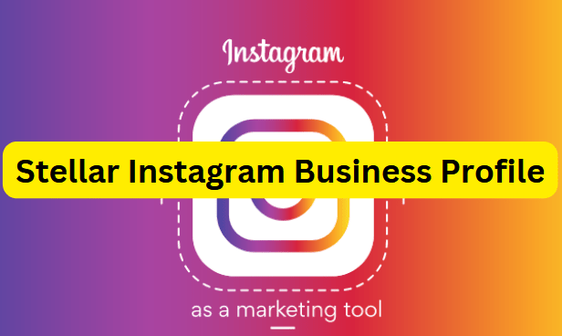 set up an impressive stellar Instagram business profile