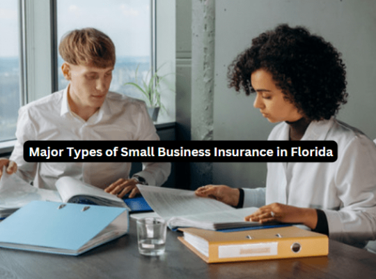 picture of small business insurance
